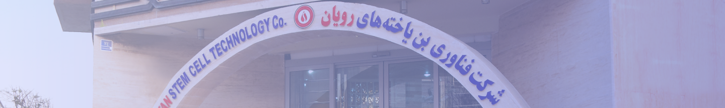 معرفی شرکت